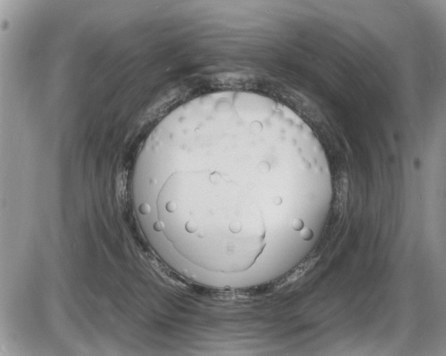 X0000086110278200703231124