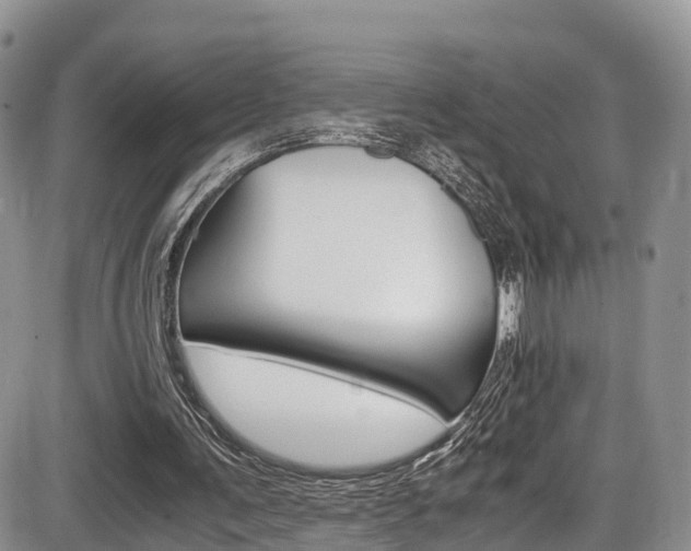 X0000086110291200703231123