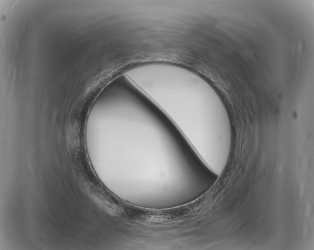 X0000086110303200703231123