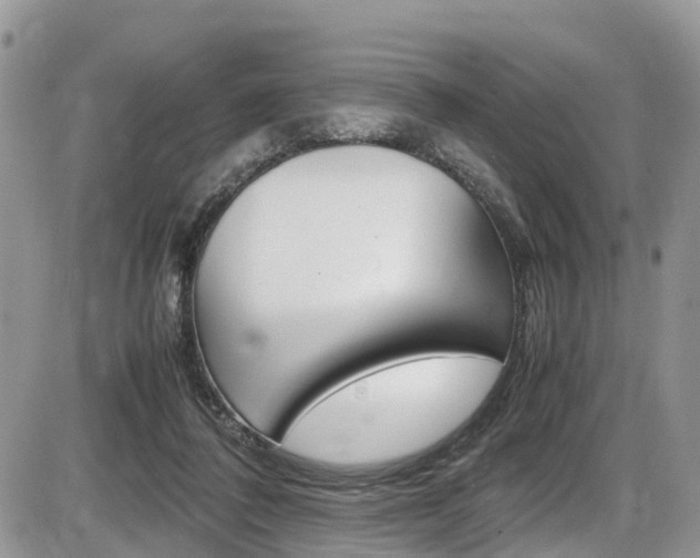 X0000086110308200703231123