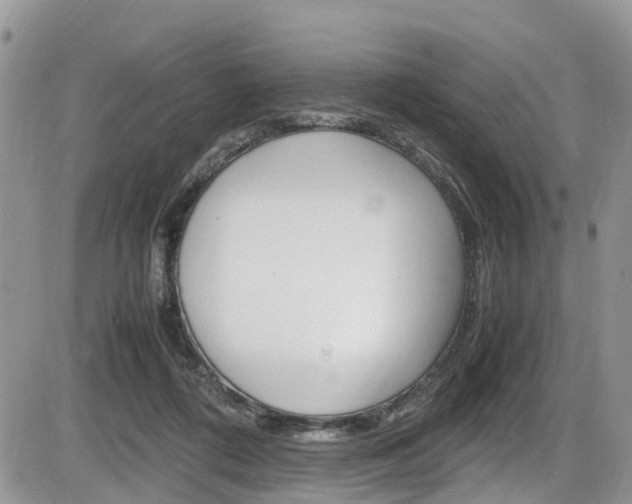 X0000086110312200703231123