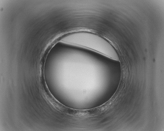X0000086110350200703231122