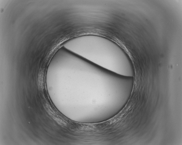 X0000086110386200703231122