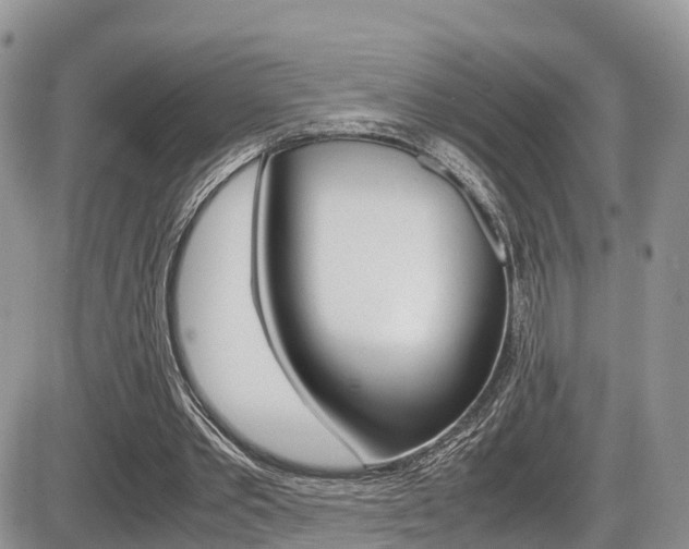 X0000086110389200703231122