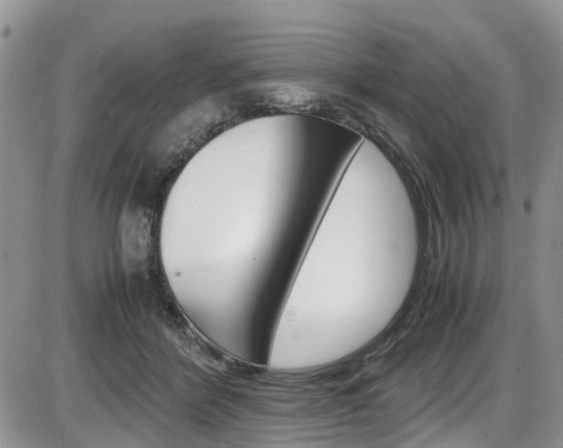 X0000086110412200703231121