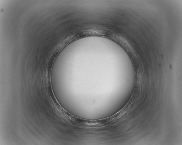 X0000086110457200703231121