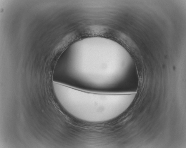 X0000086110462200703231121