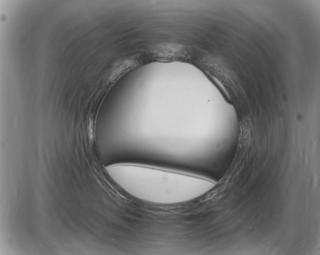 X0000086110479200703231121