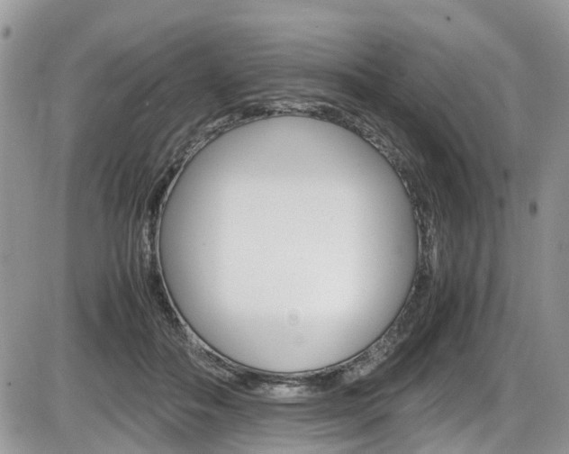 X0000086110506200703231120