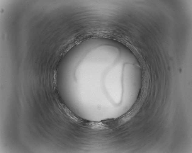 X0000086110528200703231119