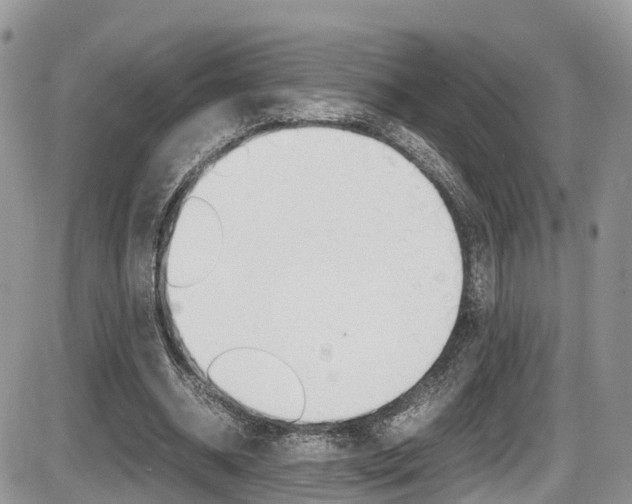 X0000086110534200703231119