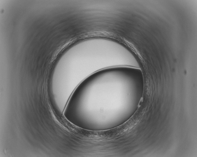 X0000086110538200703231119