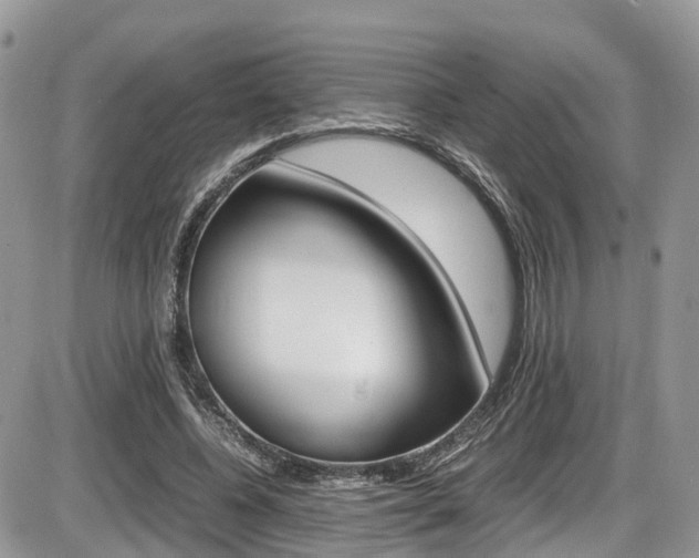 X0000086110540200703231119