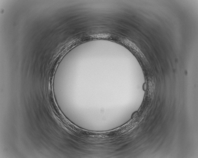 X0000086110541200703231119