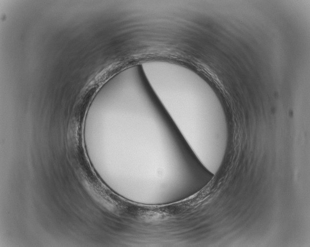 X0000086110542200703231119