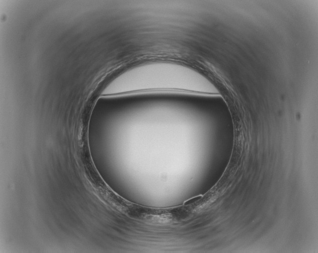 X0000086110548200703231119
