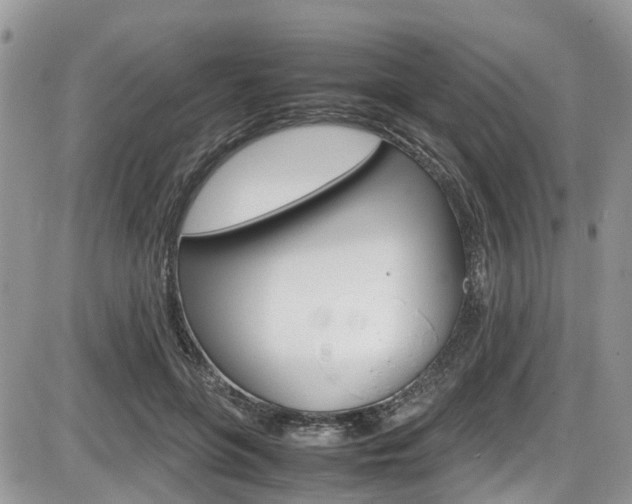 X0000086110551200703231119