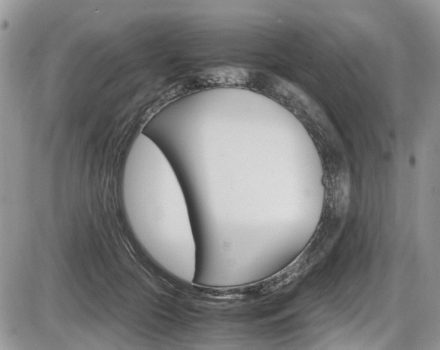 X0000086110553200703231119