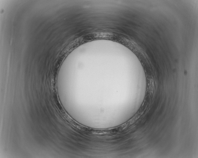 X0000086110557200703231119