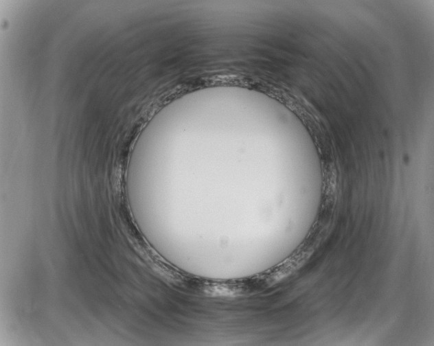 X0000086110565200703231119