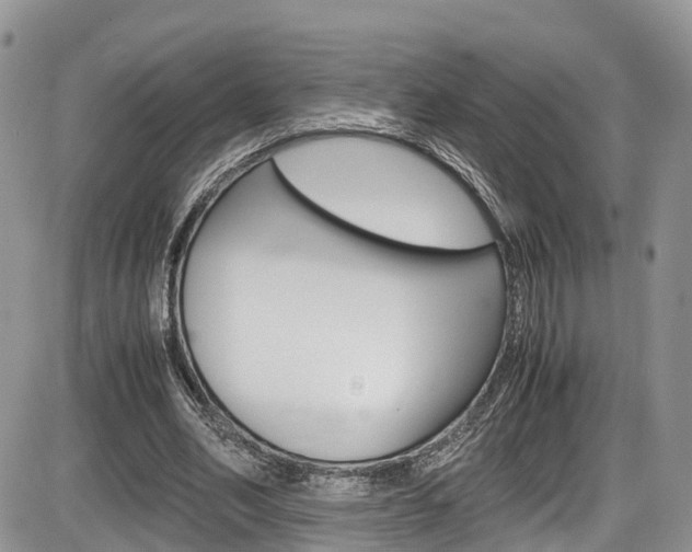 X0000086110582200703231118