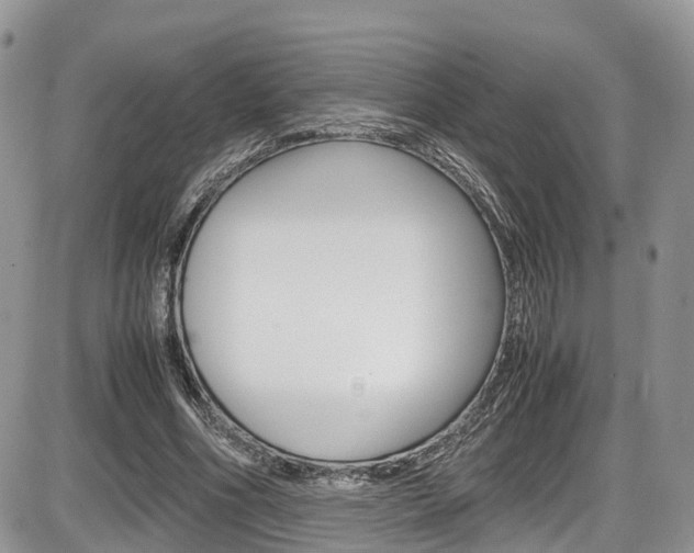 X0000086110586200703231118