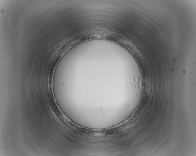 X0000086110594200703231118