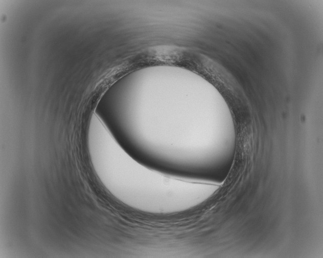 X0000086110595200703231118