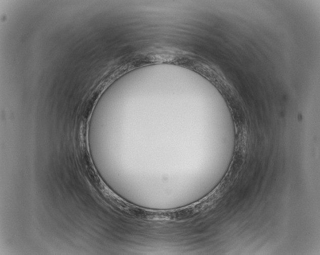 X0000086110598200703231118