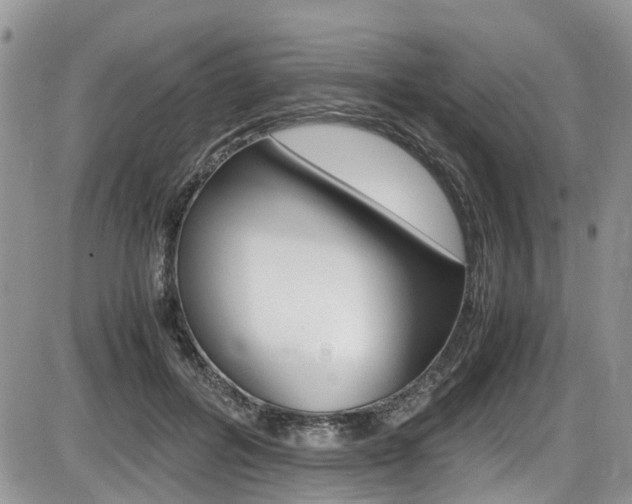 X0000086110600200703231118