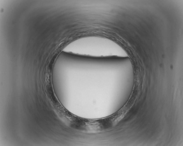 X0000086110603200703231118