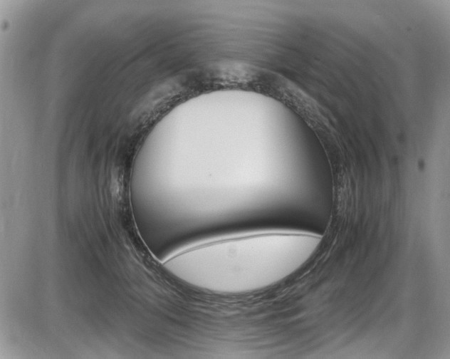 X0000086110608200703231118
