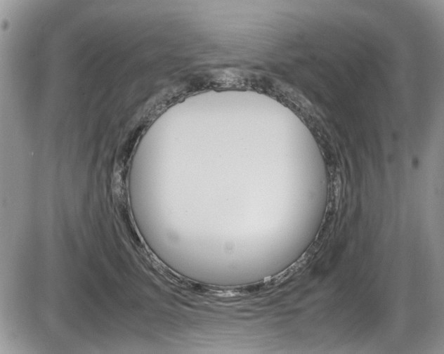 X0000086110611200703231118