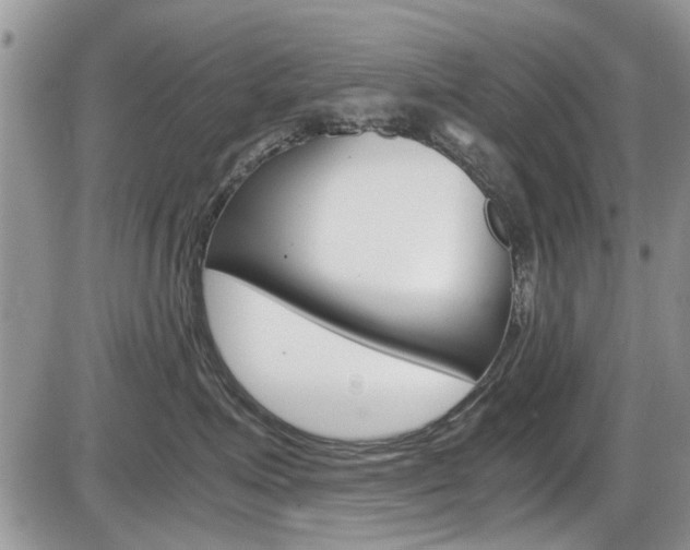 X0000086110623200703231118