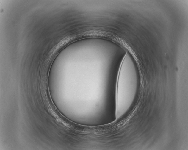 X0000086110625200703231117