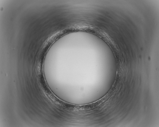 X0000086110640200703231117