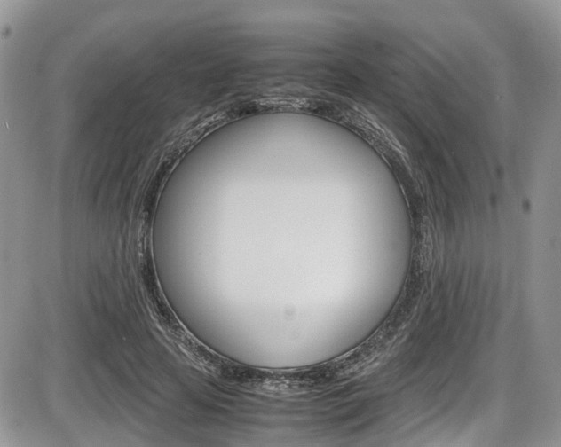 X0000086110641200703231117