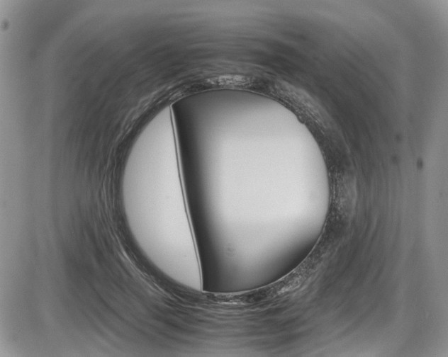 X0000086110645200703231117
