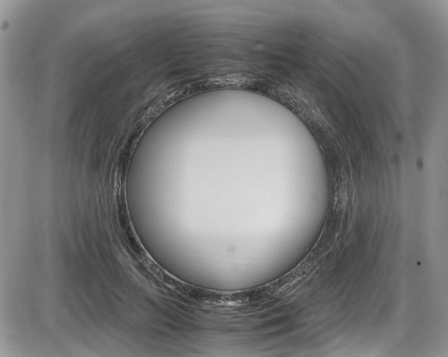 X0000086110647200703231117