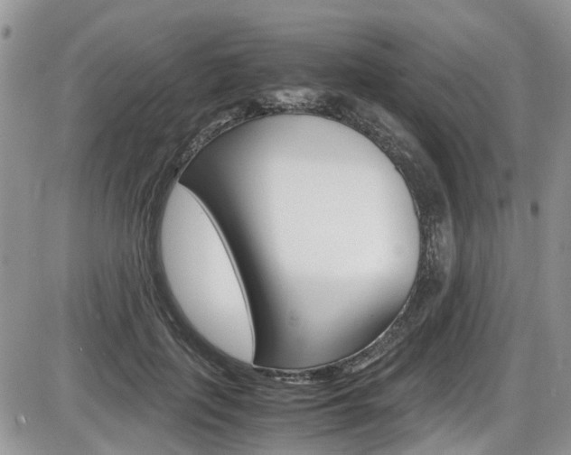 X0000086110651200703231117