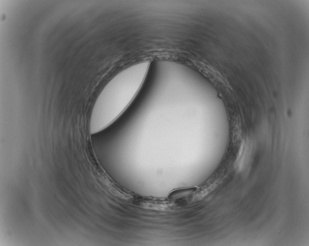 X0000086110661200703231118
