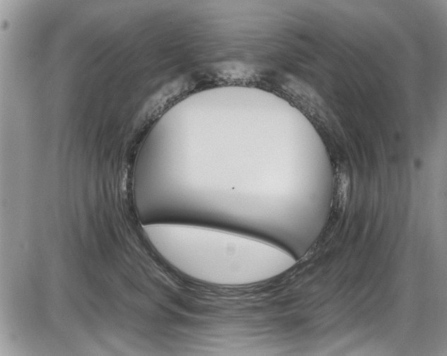 X0000086110668200703231118
