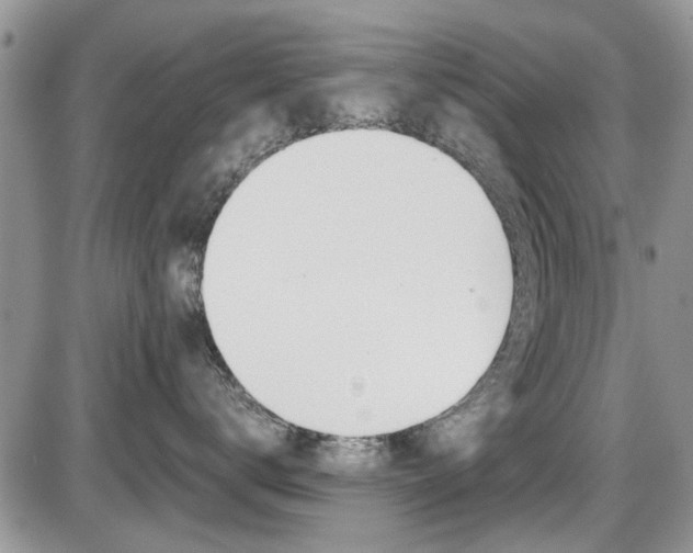 X0000086110672200703231118