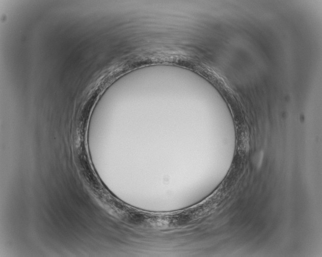 X0000086110687200703231117