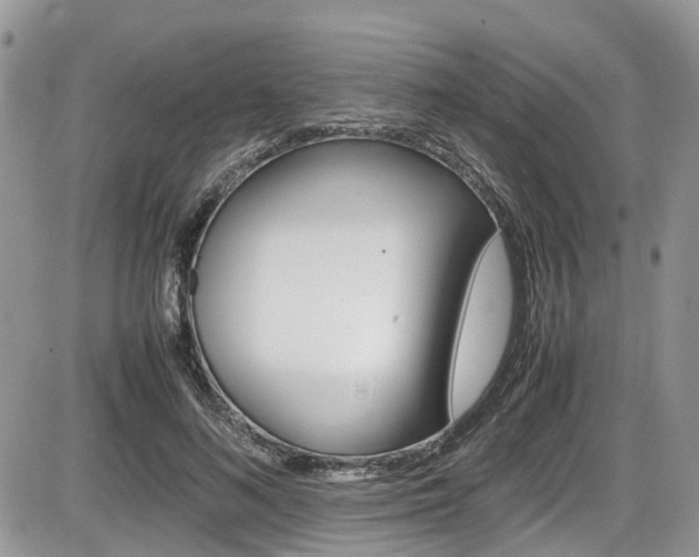 X0000086110692200703231117