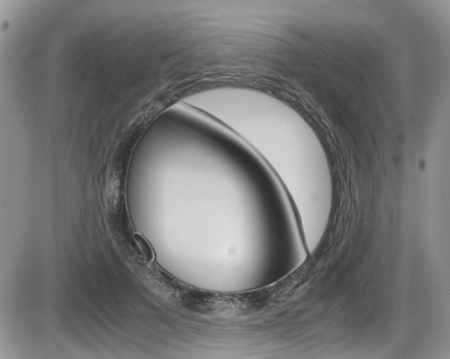 X0000086110697200703231117