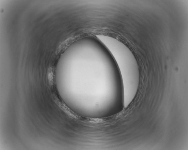 X0000086110720200703231116