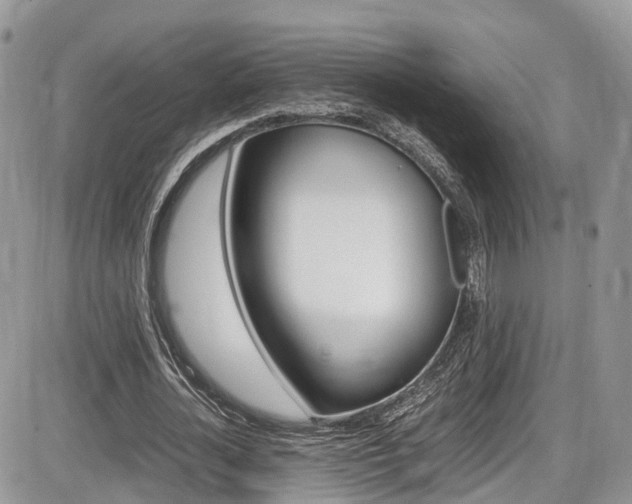 X0000086110724200703231115