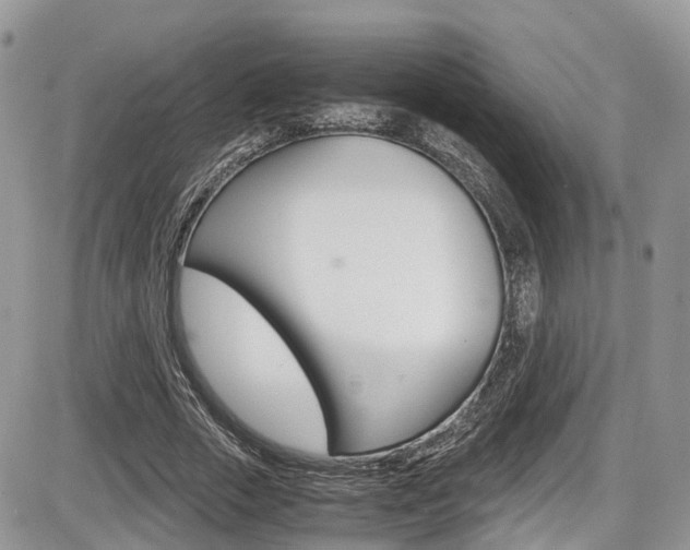 X0000086110729200703231115