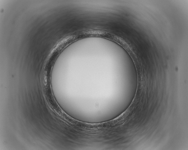 X0000086110731200703231116